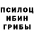 Псилоцибиновые грибы Psilocybine cubensis >Imperial Eagle