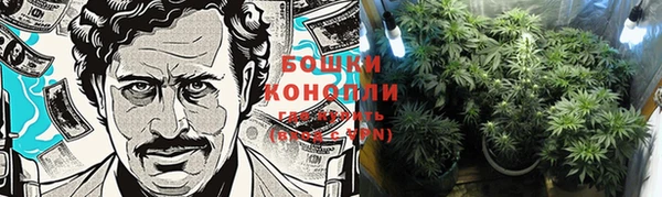 мяу мяу мука Волоколамск