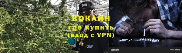 мяу мяу мука Волоколамск
